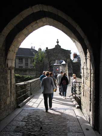 IMG_3725